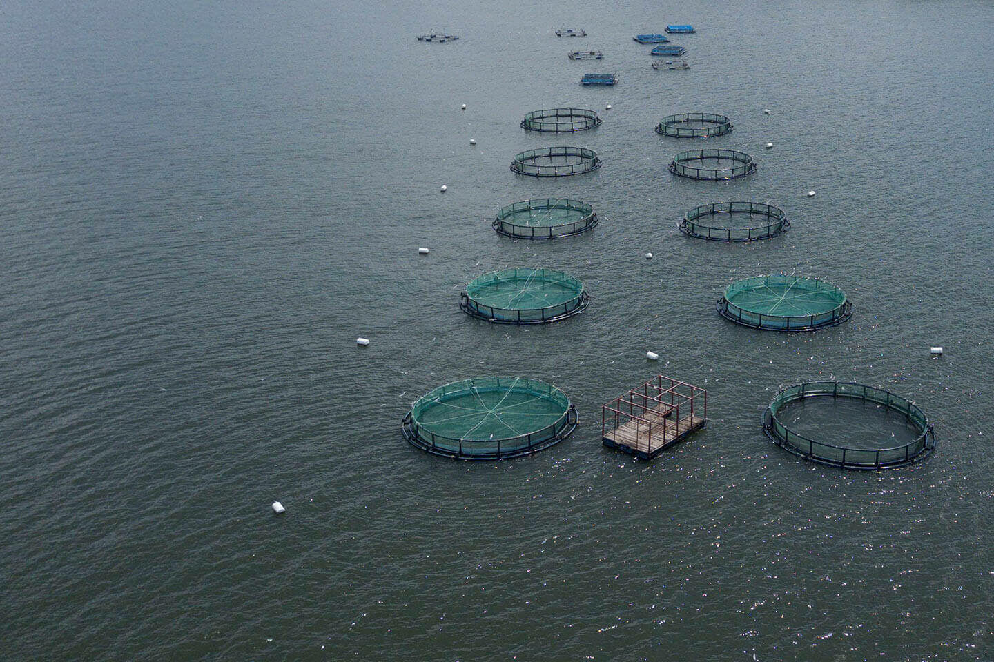 Fishing nets at sea