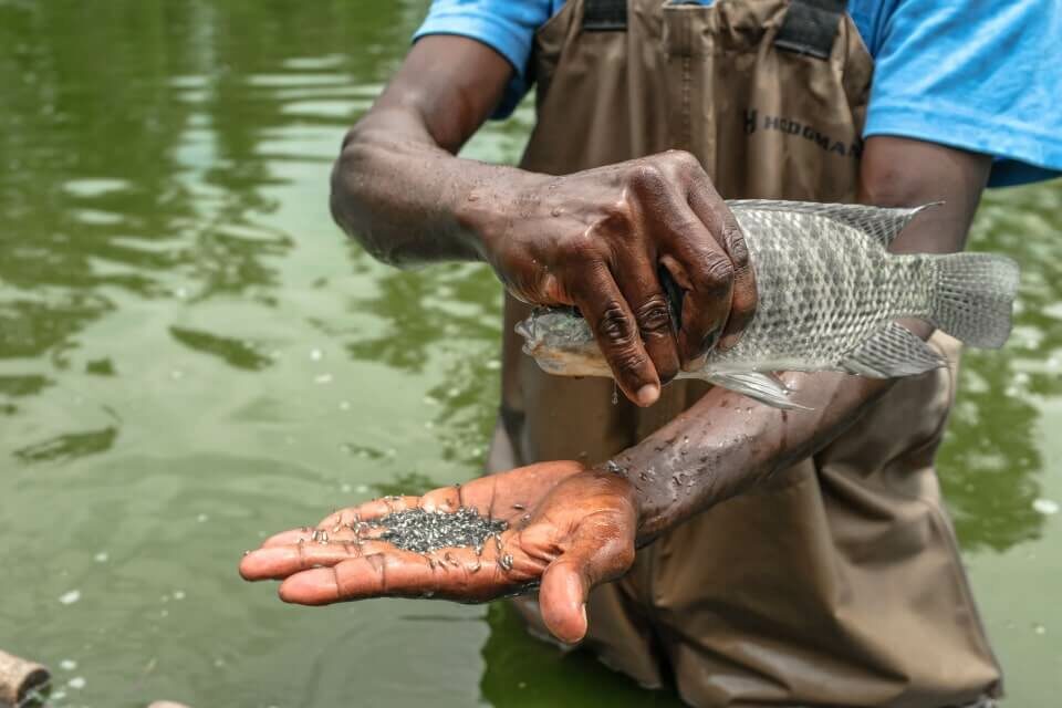 Fisherman with hand out