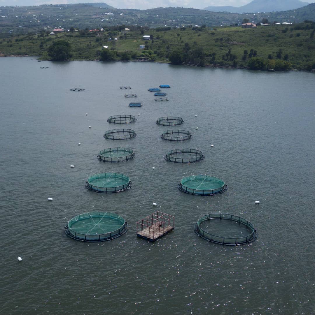 Fishing nets at sea